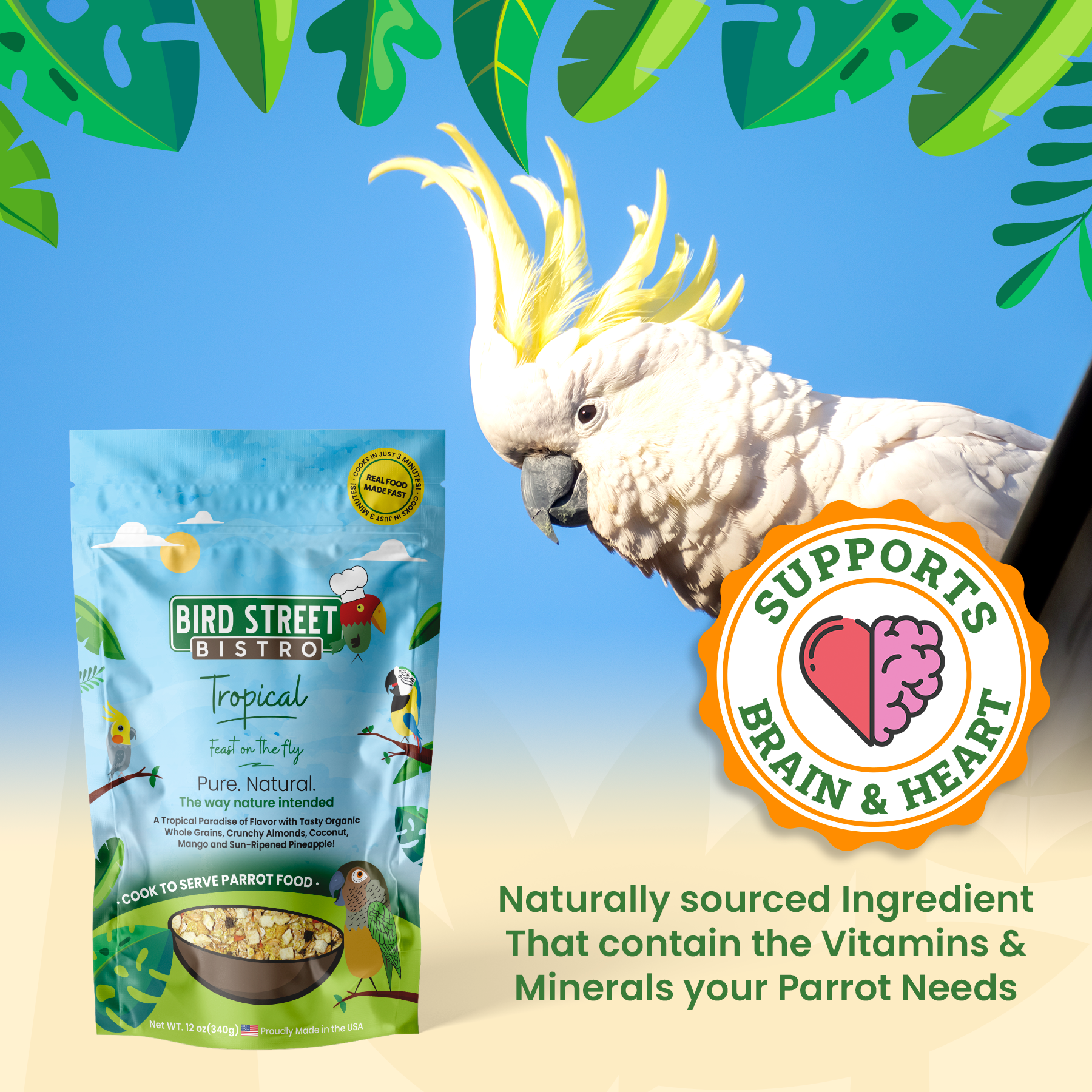 Bird Street Bistro Tropical bird food package with a parrot and brain and heart support badge on a tropical background.