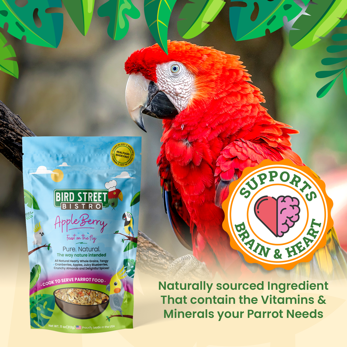Red parrot with a package of Bird Street Bistro Apple Berry parrot food and a badge indicating support for brain and heart health.