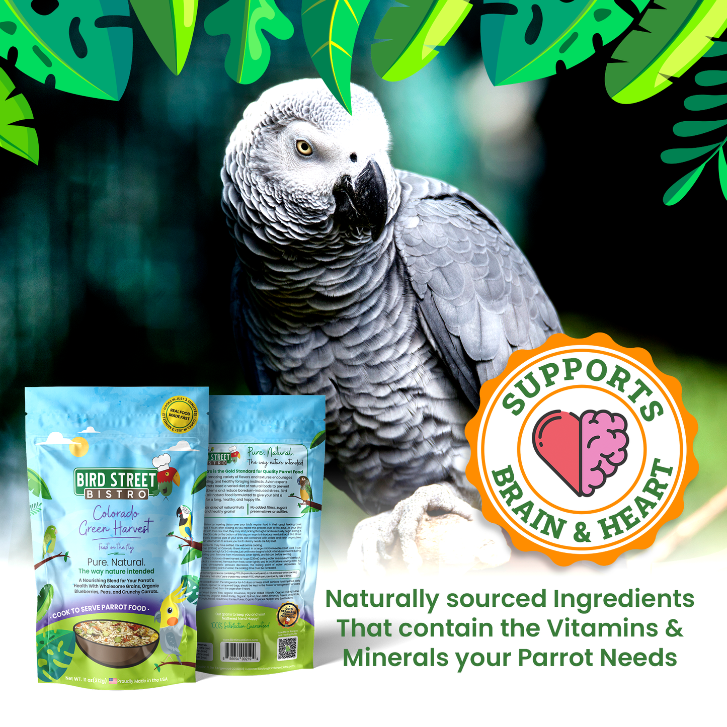 Gray parrot with Bird Street Bistro pet food packages and a heart-brain icon label on a green leafy background.