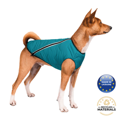 Dog wearing a teal jacket with 'Made in Ukraine' and 'Recycled Materials' logos on a white background