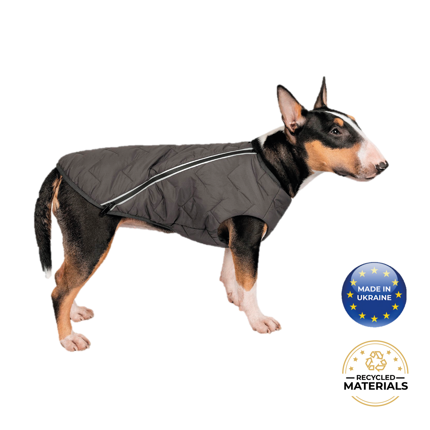 Dog wearing a black jacket with a 'Made in Ukraine' and 'Recycled Materials' label on a white background