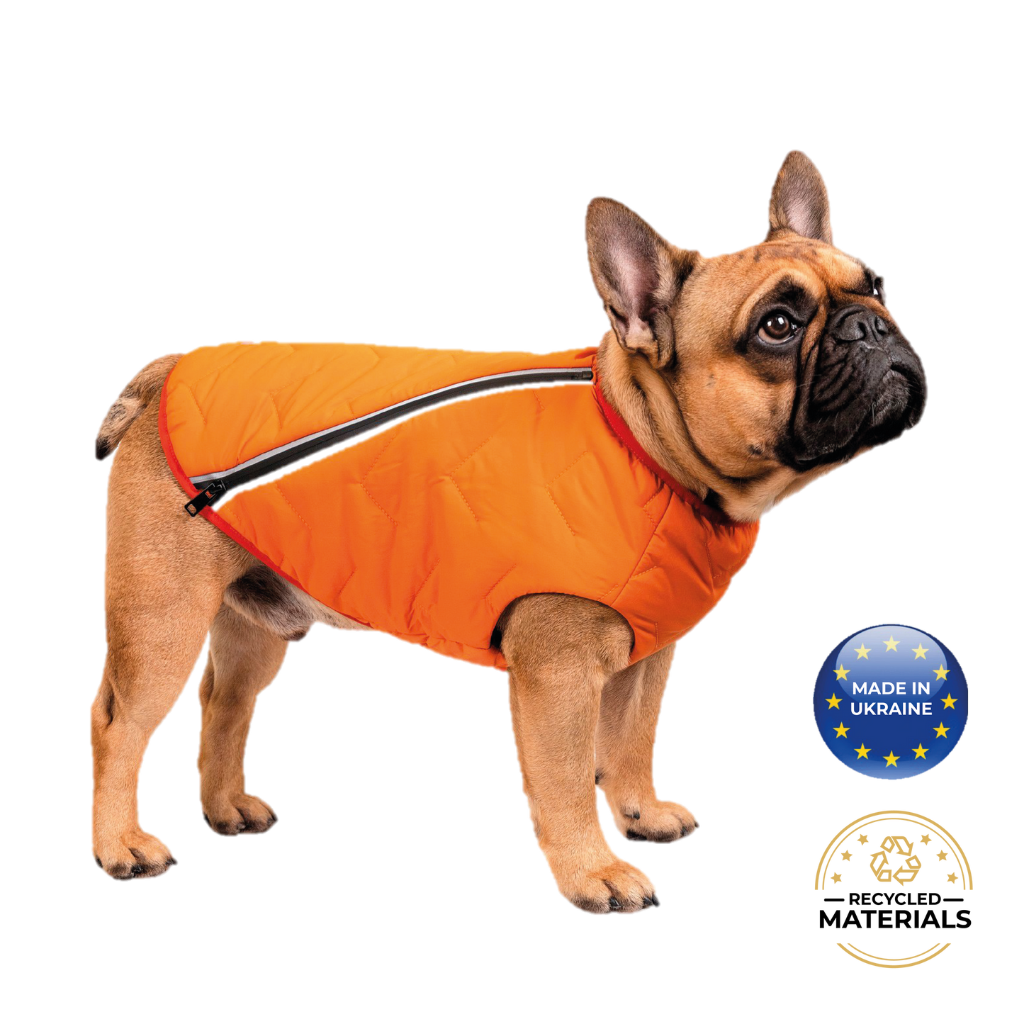 Dog wearing an orange coat with a 'Made in Ukraine' and 'Recycled Materials' label on a white background
