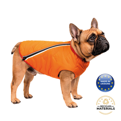 Dog wearing an orange coat with a 'Made in Ukraine' and 'Recycled Materials' label on a white background