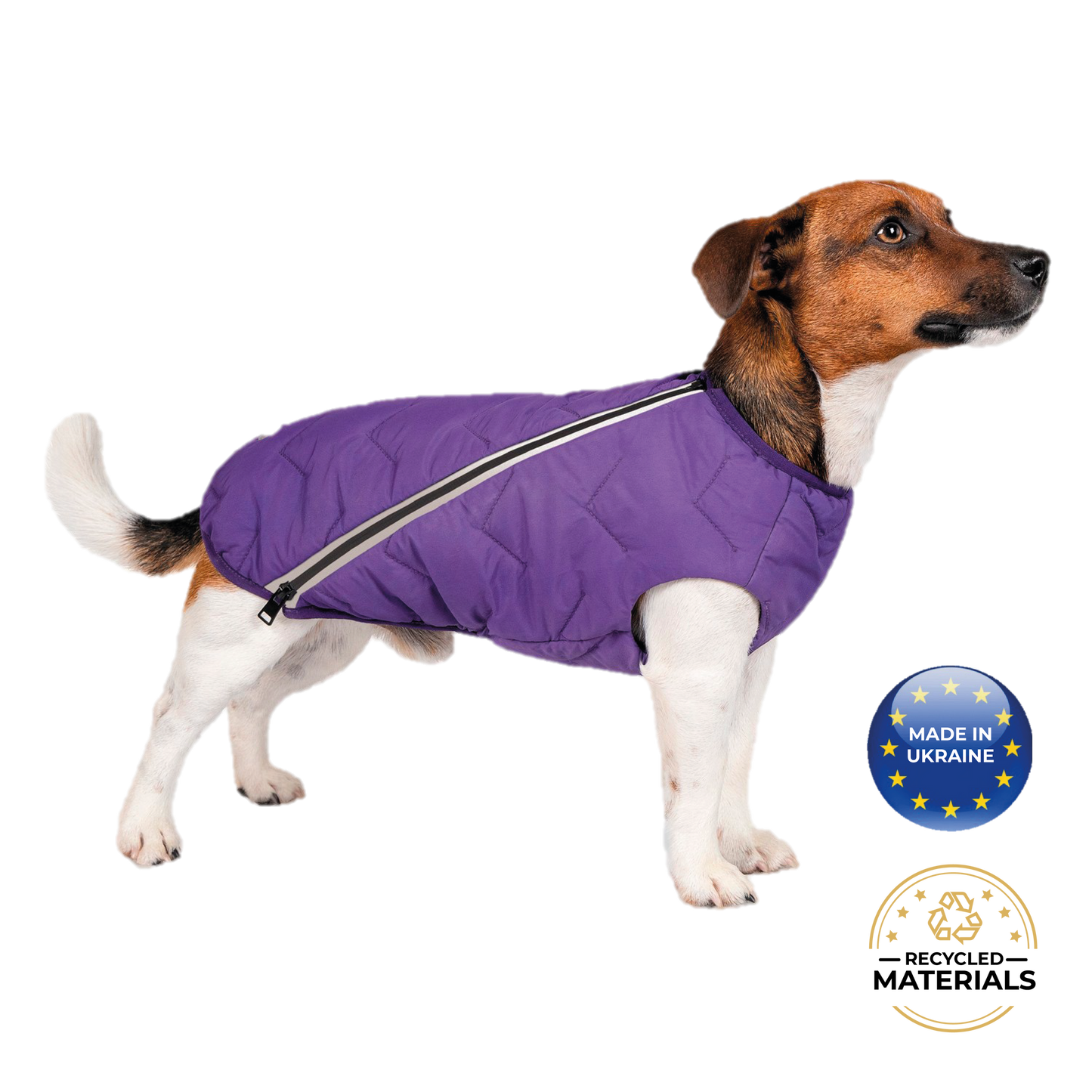 Dog wearing a purple coat with 'Made in Ukraine' and 'Recycled Materials' logos on a white background