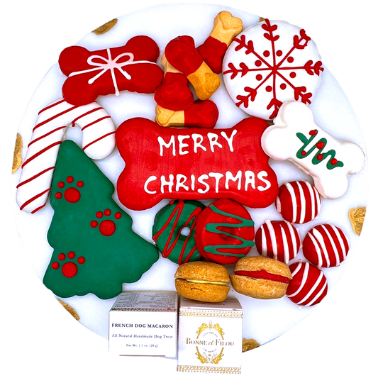 Christmas Themed Dog Treats Gift Box - Image 1