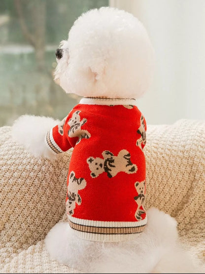 Small white dog wearing a red sweater with bear patterns on a textured surface.