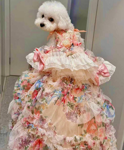 Small dog wearing a floral dress with ruffles against a neutral background