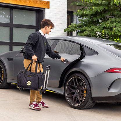 Premium Pet Carrier for Travel