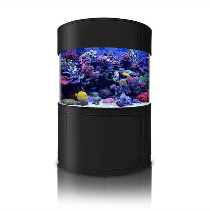 Black cylindrical aquarium with colorful fish and coral on a white background