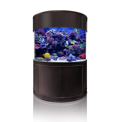 Round aquarium with colorful coral and fish on a white background