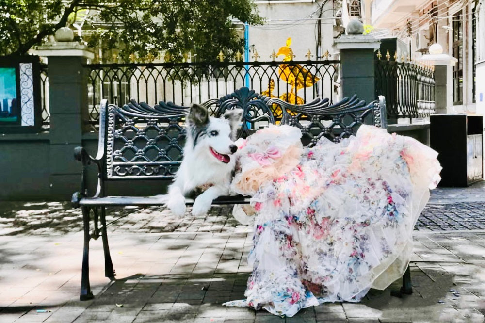 Person in a floral dress sitting on a bench with a dog next to them, outdoors.