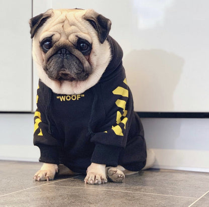 Pug wearing a black hoodie with yellow accents and 'WOOF' text on a tiled floor.