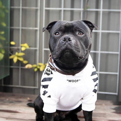 Dog wearing a 'WOOF' hoodie with a striped pattern, standing outdoors.