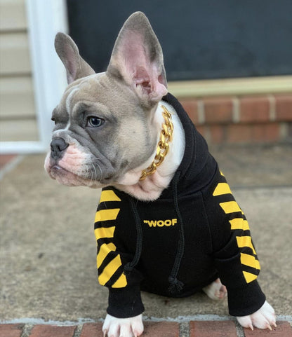 Puppy wearing a black hoodie with yellow stripes and 'WOOF' text on a brick surface.