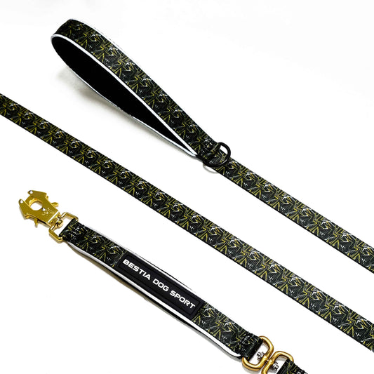 Dog leash with decorative pattern and gold hardware on a white background