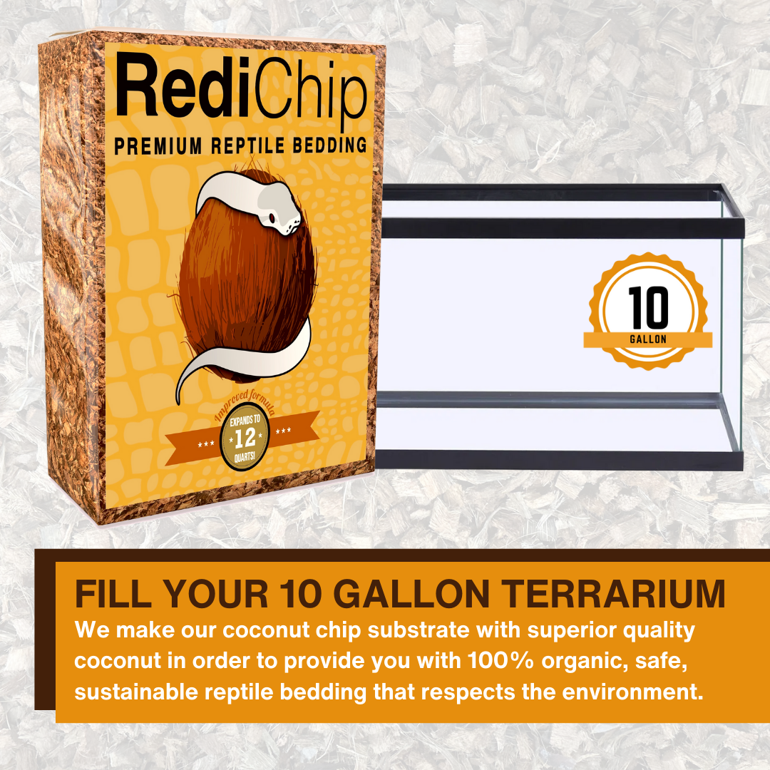 RediChip Premium reptile bedding for a 10-gallon terrarium