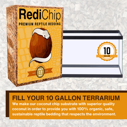 RediChip Premium reptile bedding for a 10-gallon terrarium