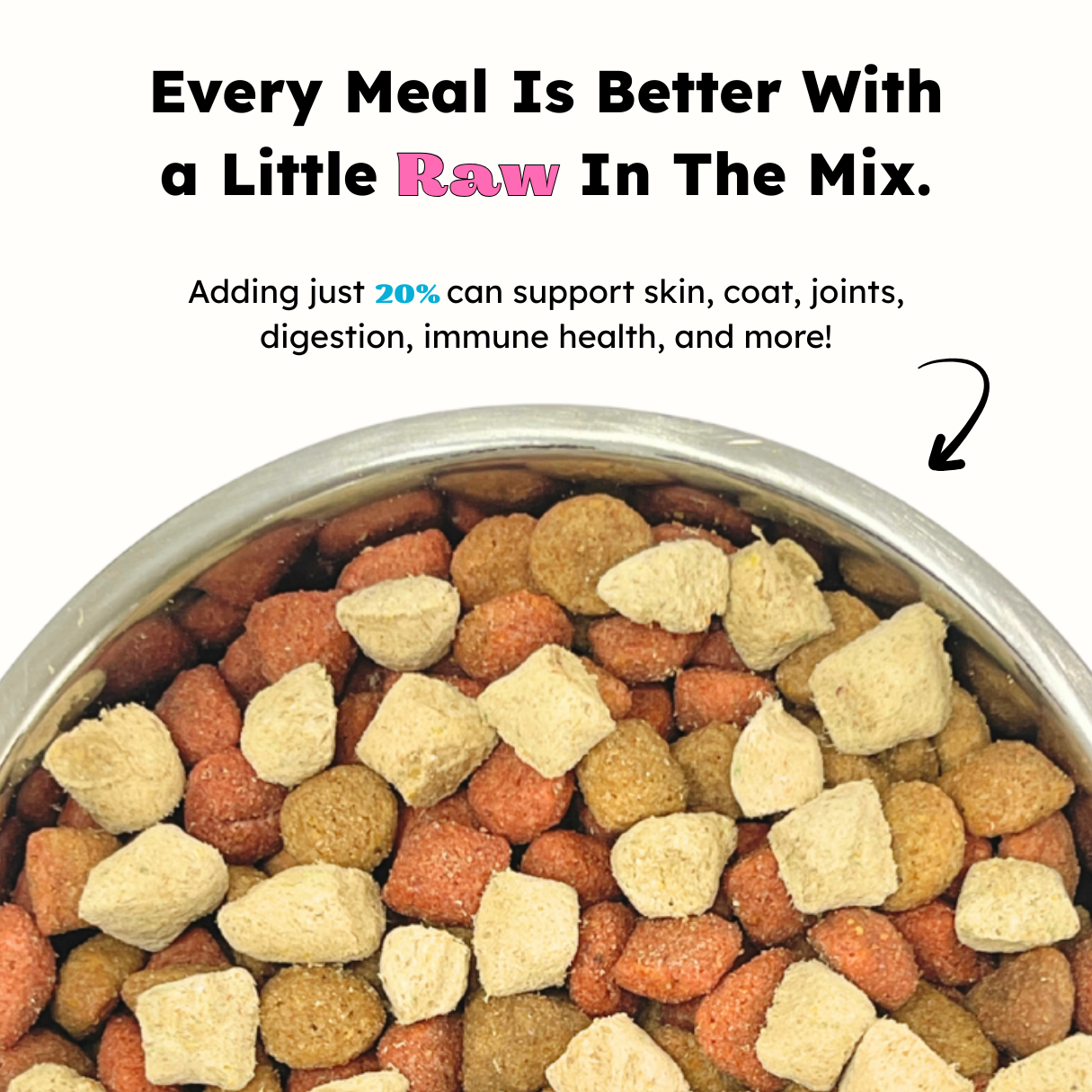 Dog food bowl with a mix of dry kibble and text about adding raw food for health benefits.