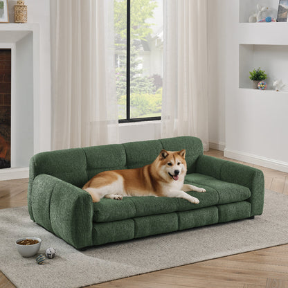 Dog lying on a green sofa in a living room with large windows and a fireplace.