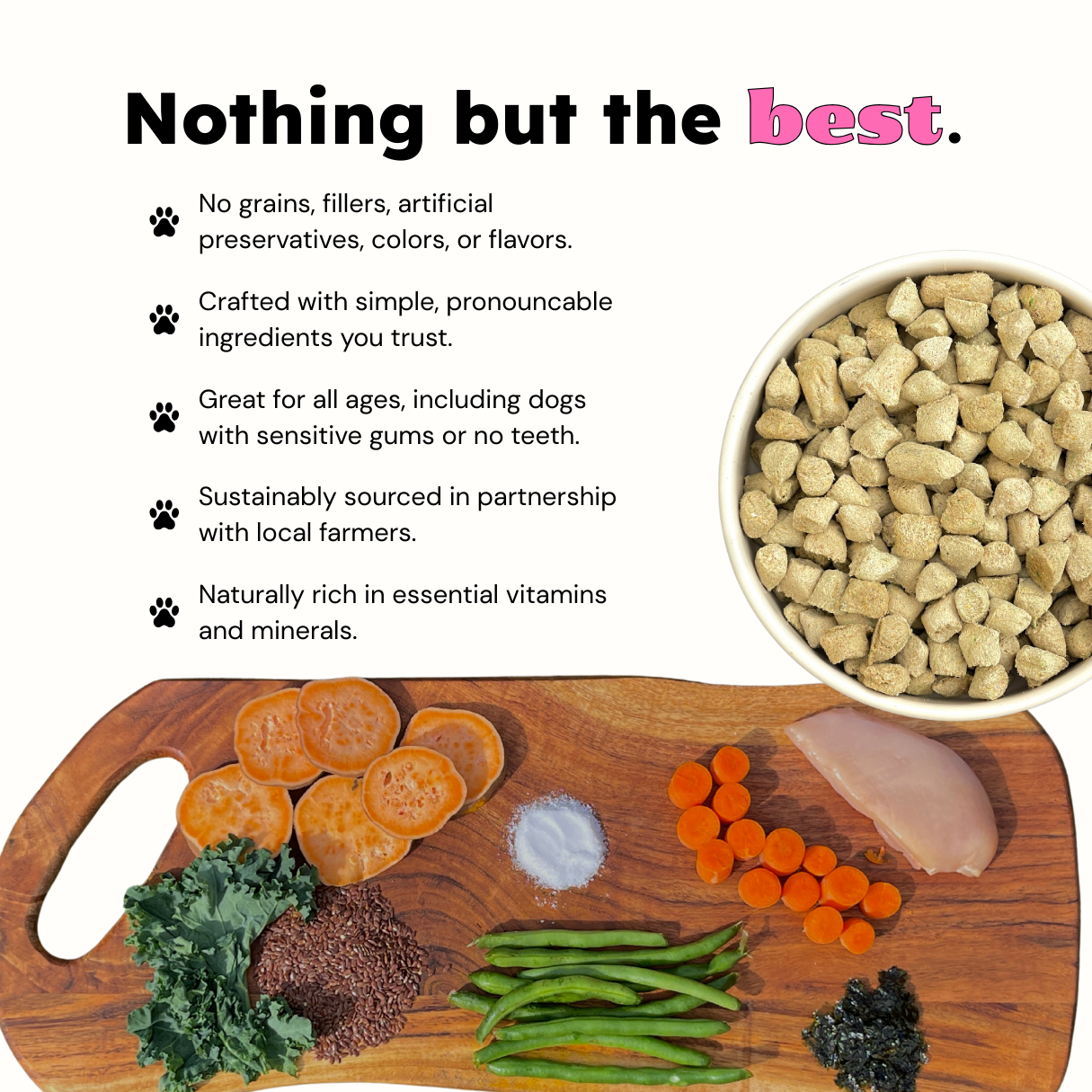 Dog food bowl with text about product benefits on a white background