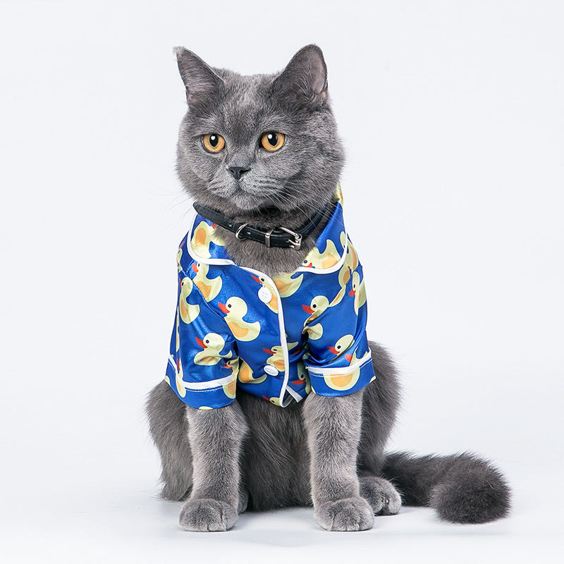 Cat wearing a blue shirt with yellow duck pattern on a white background