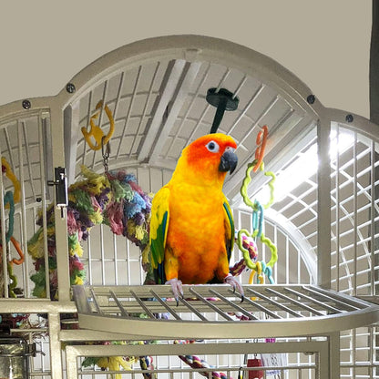 Colorful parrot in a birdcage with a decorative background