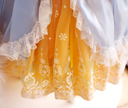 Princess Fantasy Pet Dress 