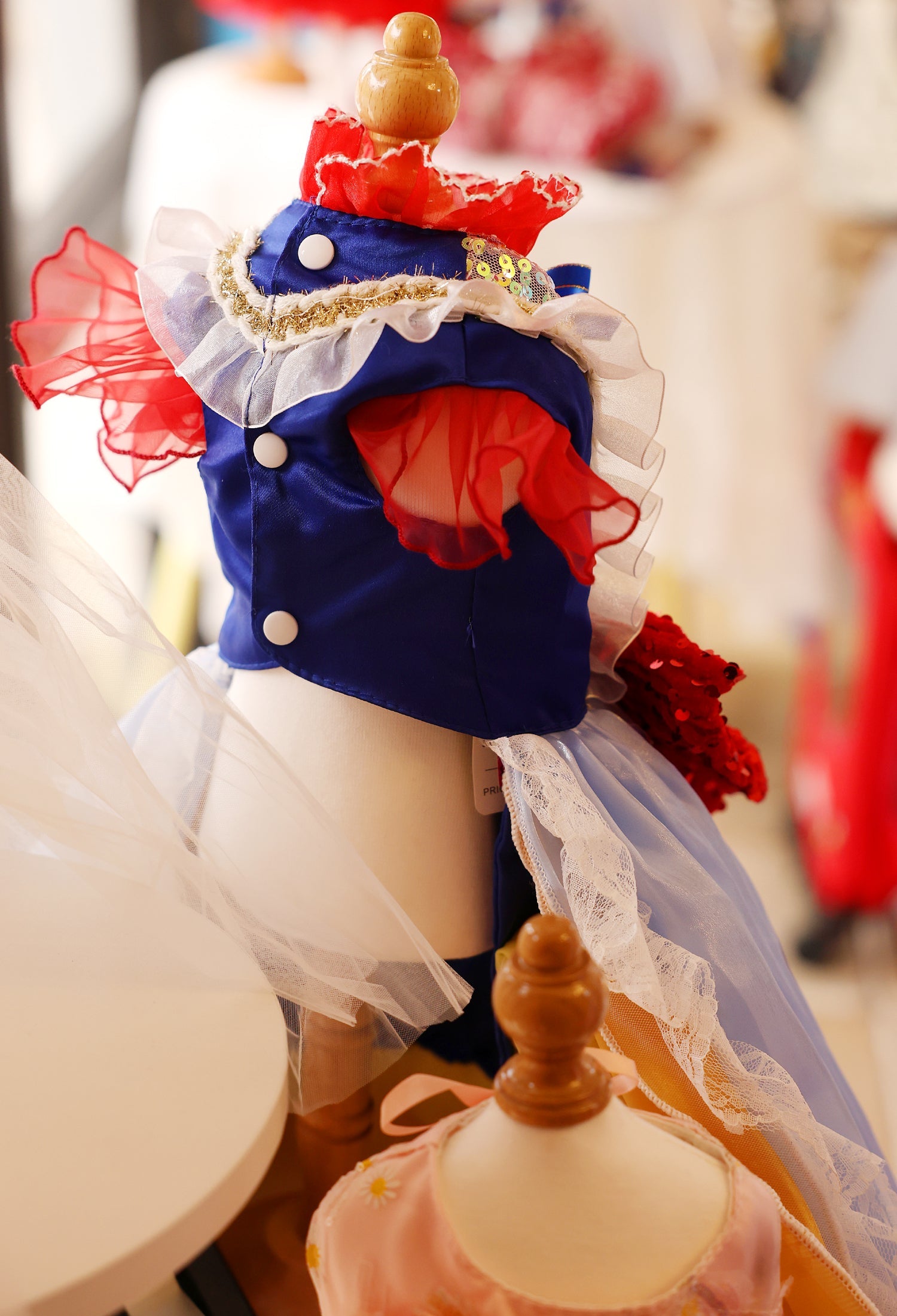 Princess Fantasy Pet Dress 