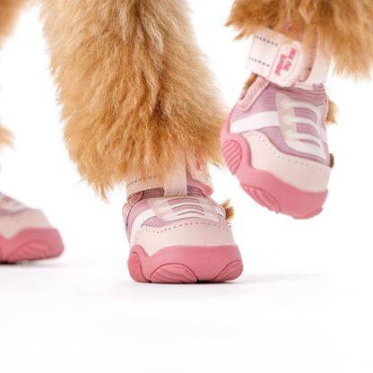 Pink dog boots on a small dog with a white background