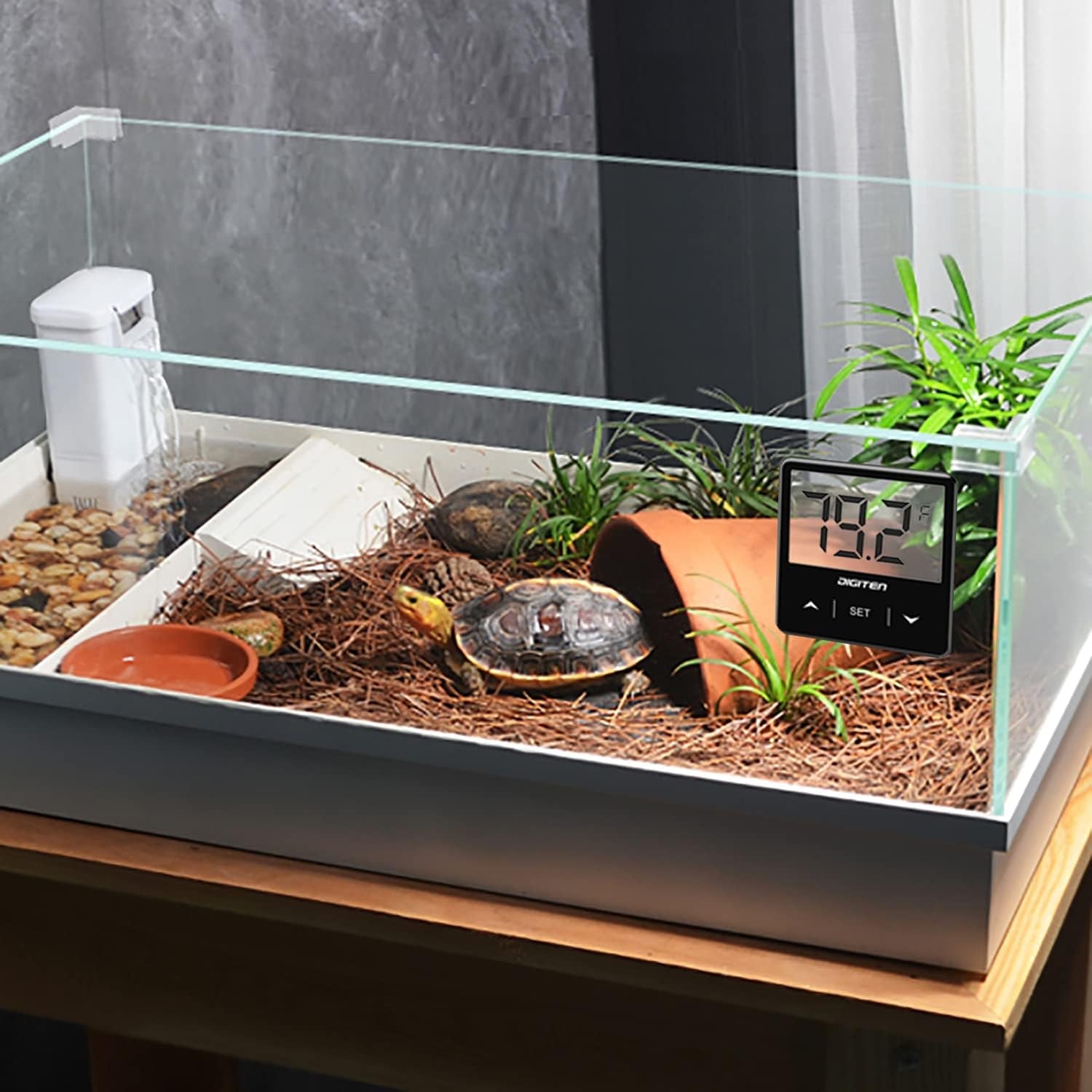 Tortoise in a glass terrarium with a digital thermometer displaying 28 degrees Celsius.
