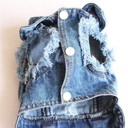 Close-up of a denim jacket with frayed edges on a plain background