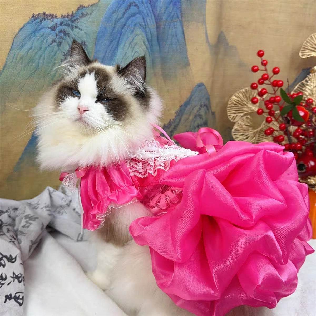 Elegant Hot Pink Lace Dog Party Dress