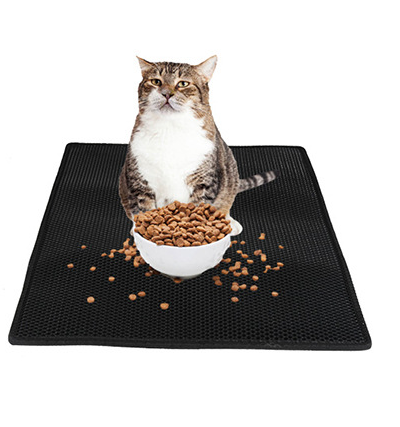 Cat sitting on a black mat with a bowl of food, on a white background