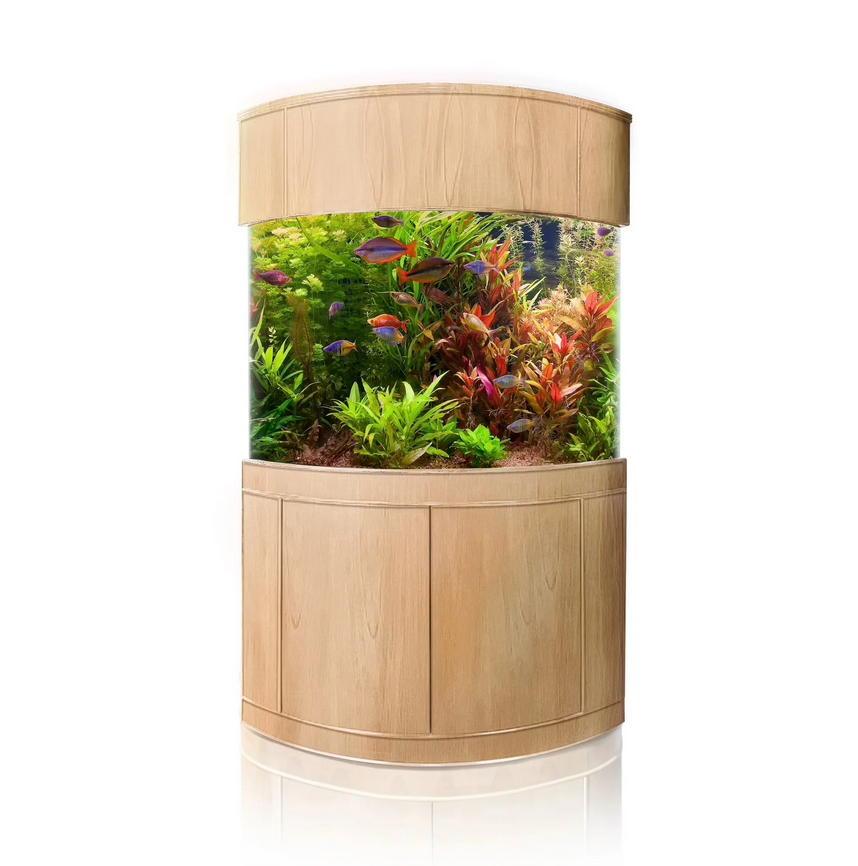 Wooden cylindrical aquarium with fish and plants on a white background
