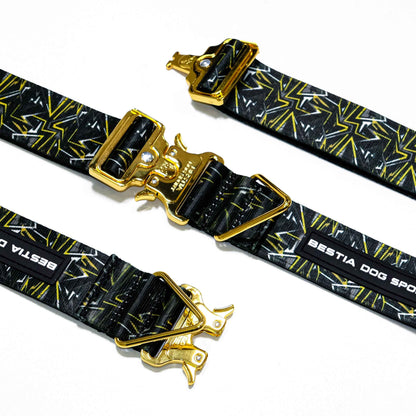 Black and gold dog collar with gold buckle on a white background