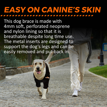 Dog wearing a black brace with text about its features, walking on a path.