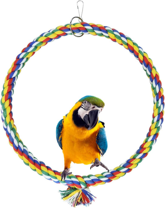 Colorful parrot perched on a braided rope toy against a white background