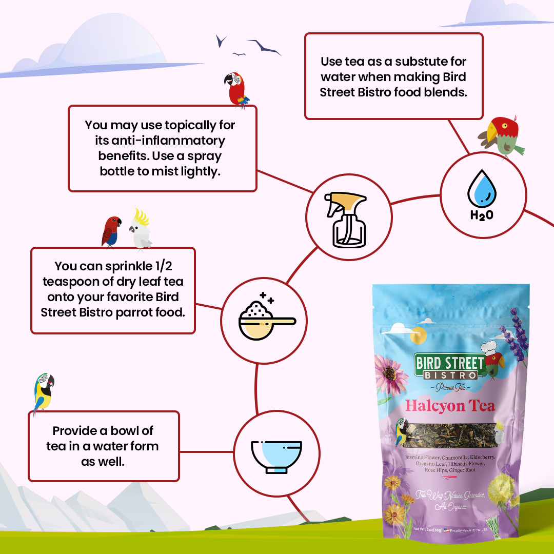 Bird Street Bistro Halcyon Tea packaging with usage instructions on a colorful background