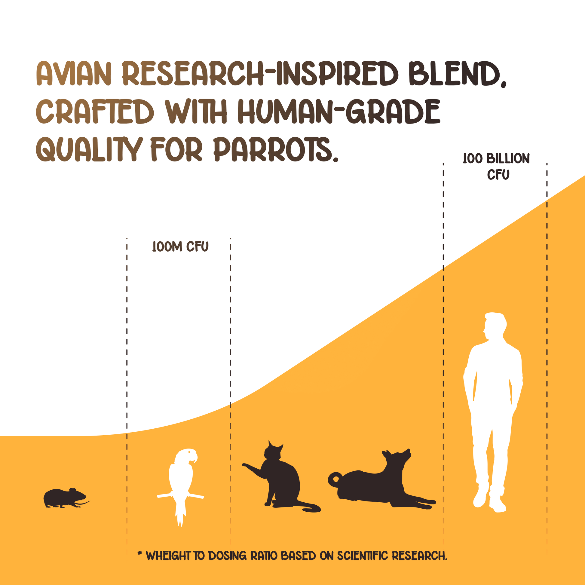 Illustration comparing the size of different animals and a person, with text about avian research-inspired blend for parrots.