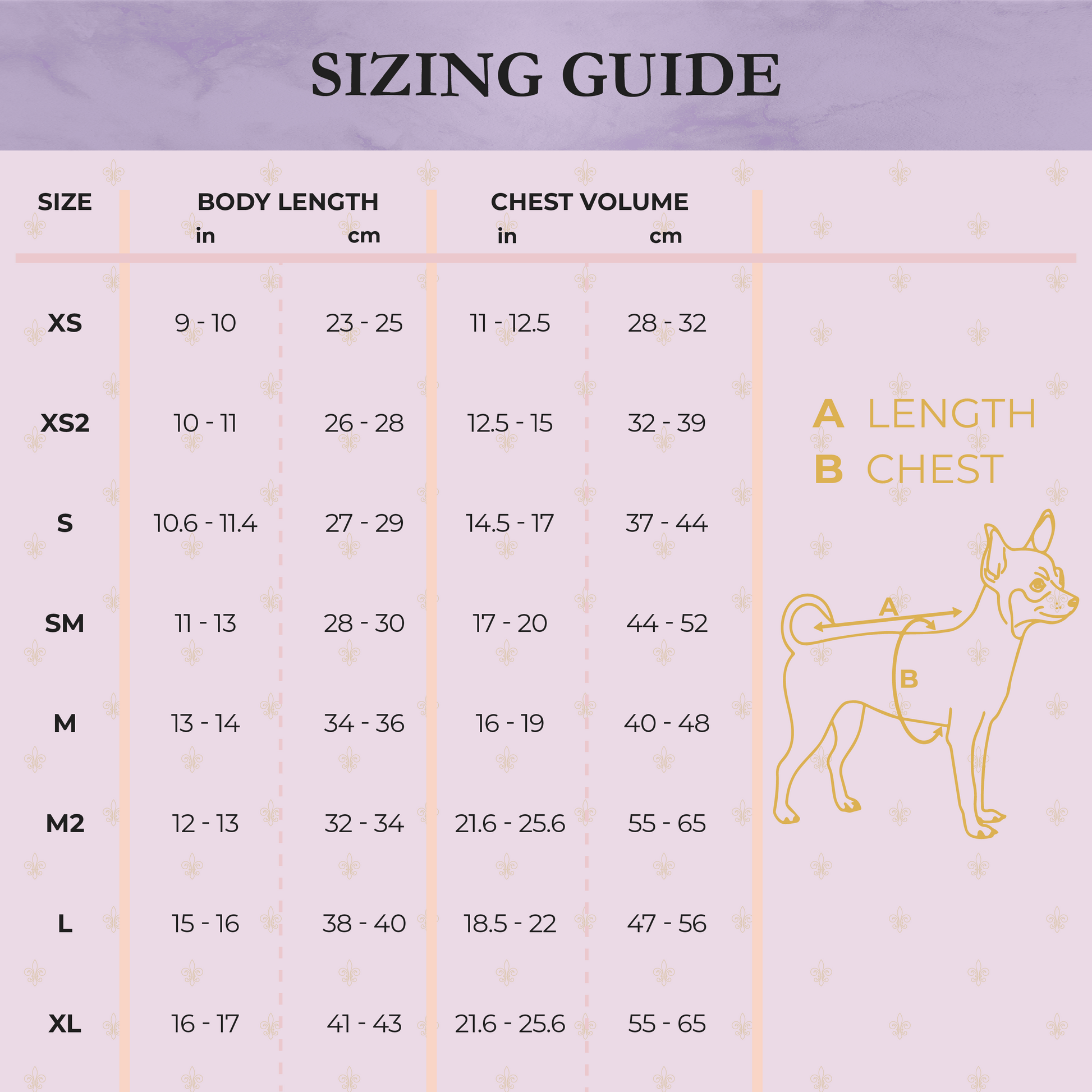 Sizing guide for dog clothing with measurements in inches and centimeters, and a diagram of a dog.