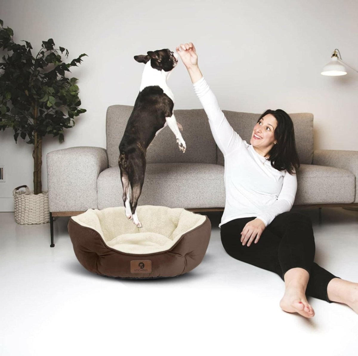 Woman playing with a dog on a pet bed in a living room.