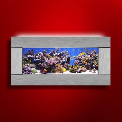 Aquarium with colorful coral and fish on a red wall