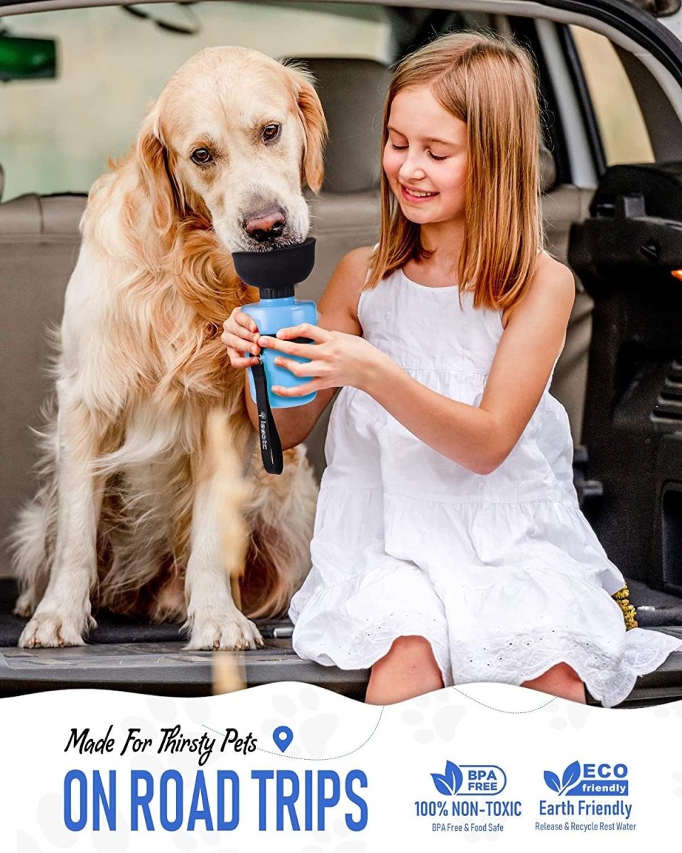 Girl and dog with a pet water bottle in a car, promoting a product for pets on road trips.
