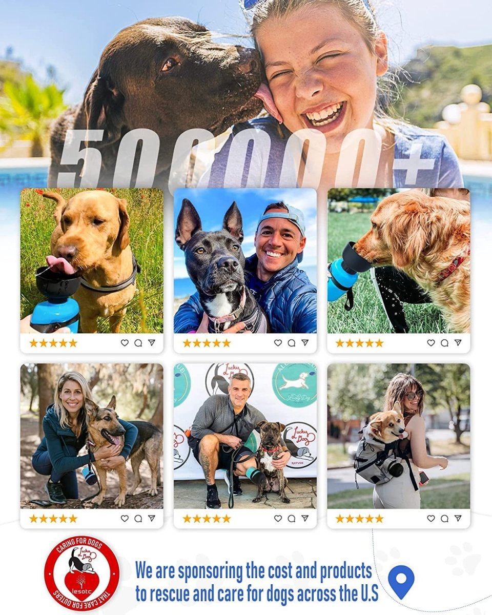 Promotional graphic with people and dogs, featuring a sponsor logo and text about dog rescue.