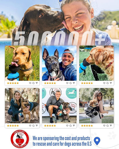 Promotional graphic with people and dogs, featuring a sponsor logo and text about dog rescue.
