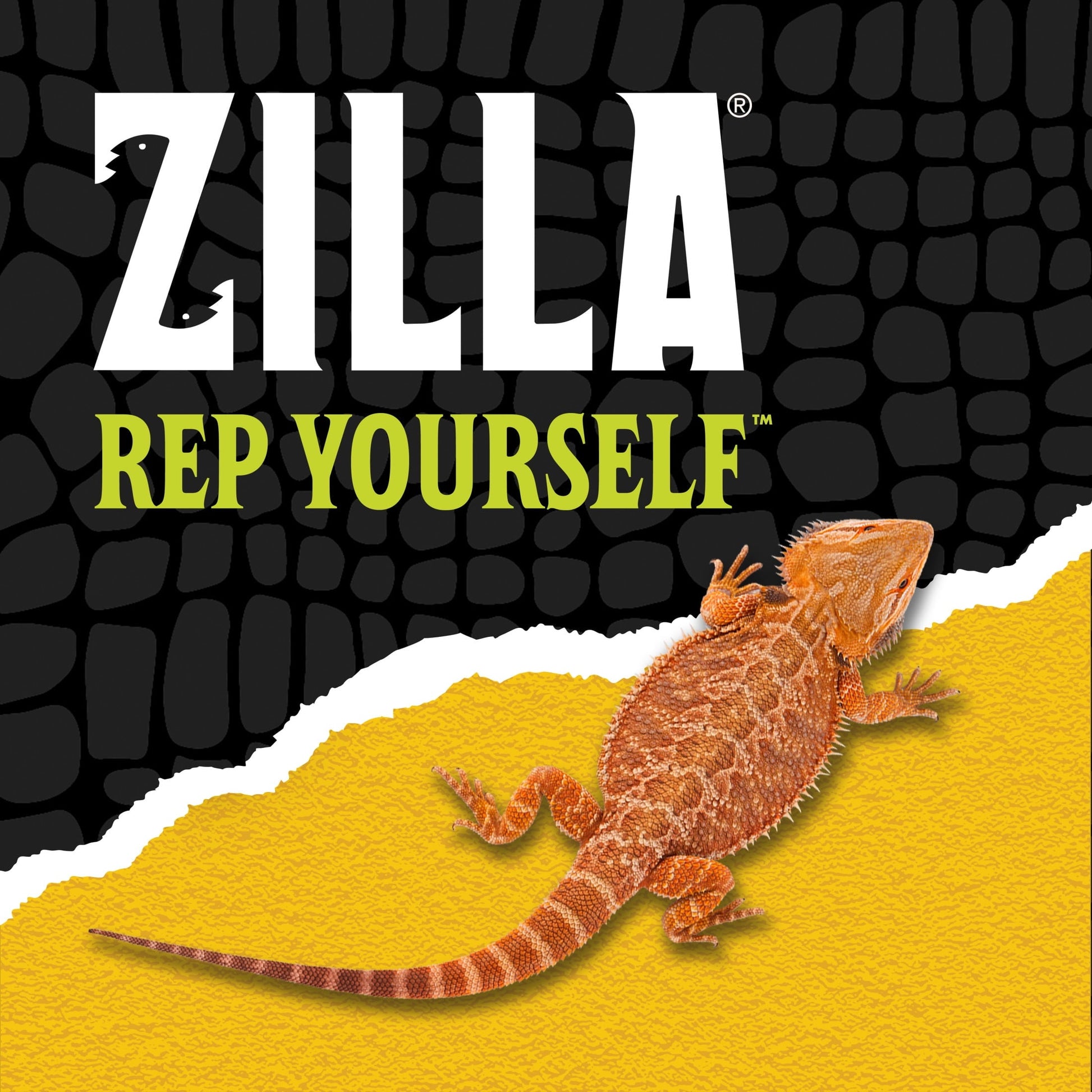 Lizard on a yellow background with 'Zilla' branding and text.