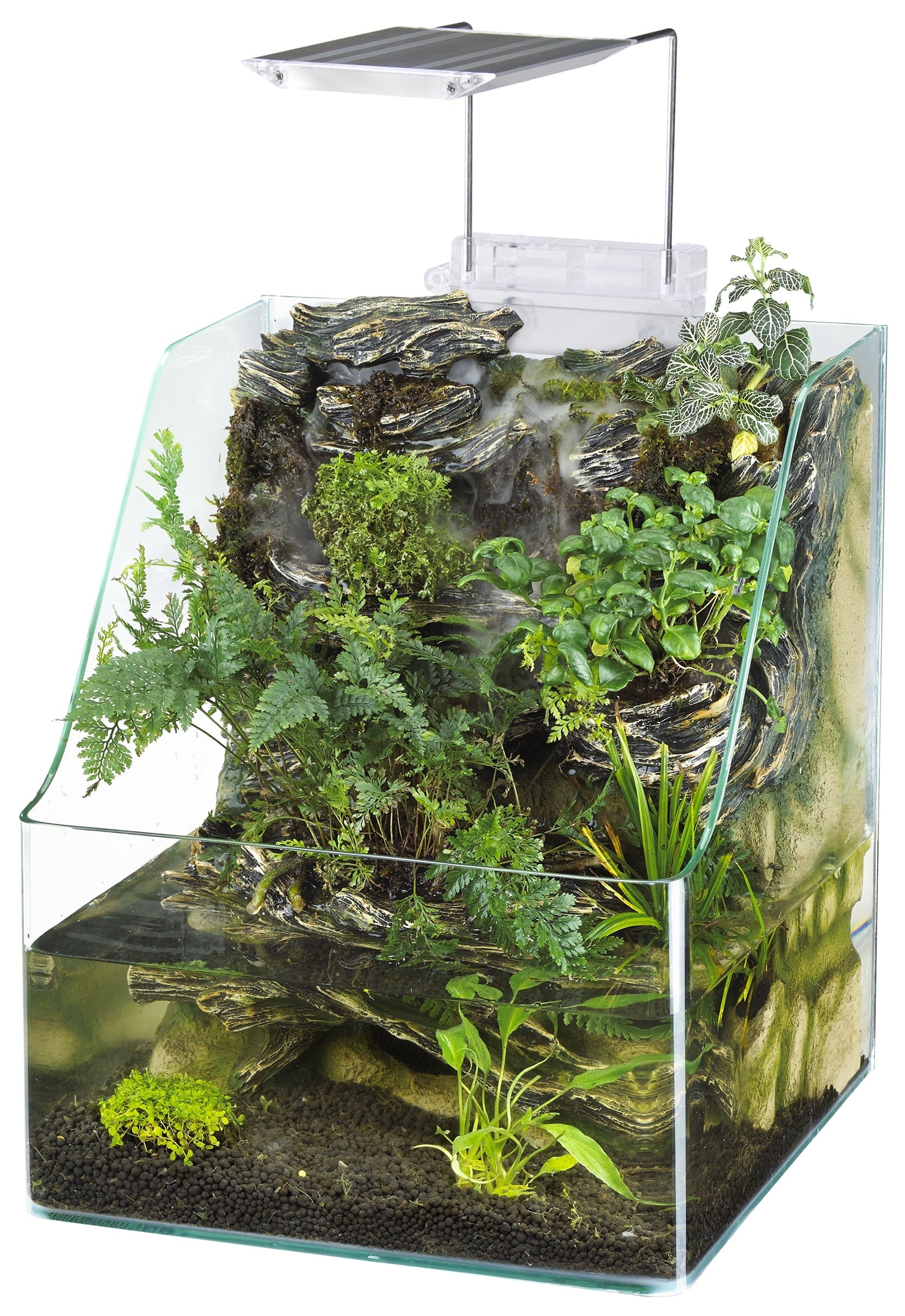 Small terrarium with plants and a light on a white background