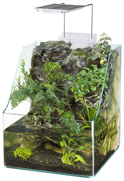 Small terrarium with plants and a light on a white background