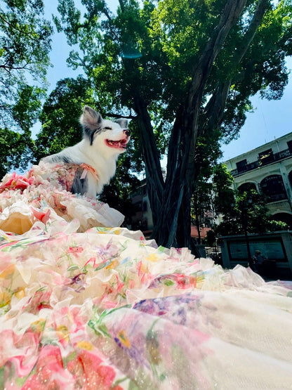 Dog in a large, colorful dress with trees and buildings in the background