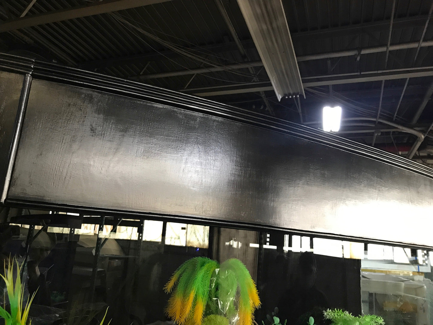 WARRANTY INCLUDED! 215 gallon GLASS bow front aquarium fish tank